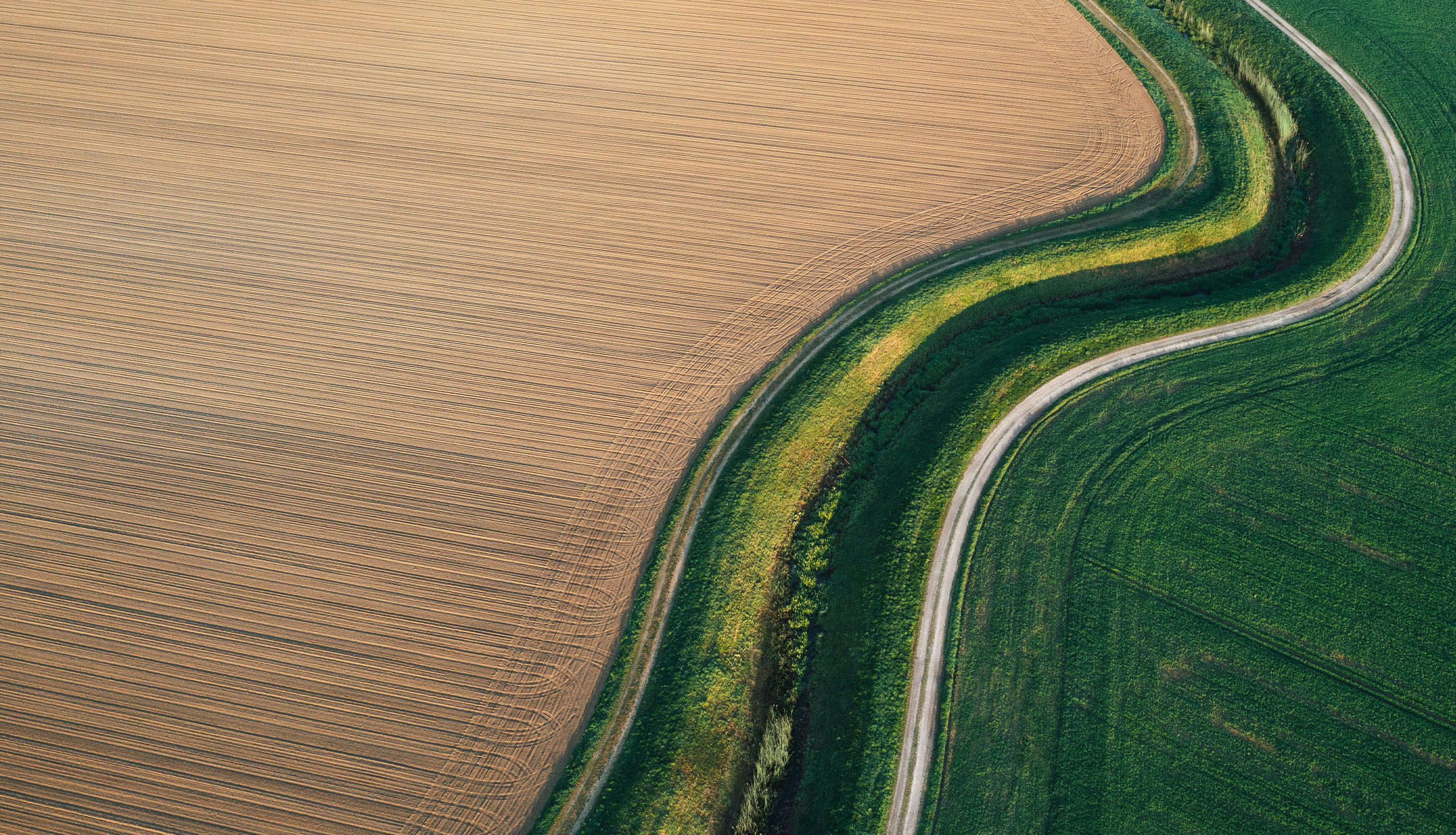 A clear path to a better future